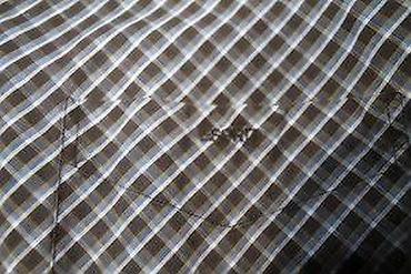 Košulje: ESPRIT košulja Original. ESPRIT. Original. Kao NOVA. 100% cotton — 7