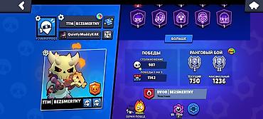 купит акк в бс: Игровой аккаунт Brawl Stars - Ник: TTM | BEZSMERTNY - Путь к славе — 1