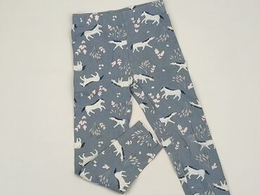 kamizelka liquid force: Leggings for kids, Cool Club, 4-5 years, 104/110, condition - Good