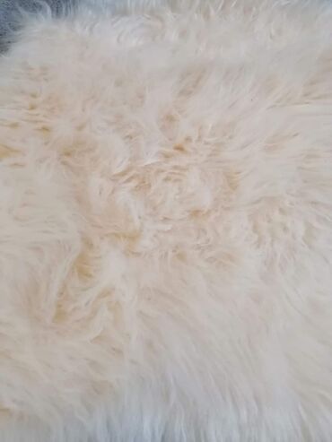 Tepisi i prostirke: Tepih, Pravougaoni — 6