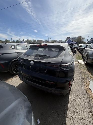 belgee x50: Changan X5 Plus: 2026 г., Лифтбек — 3