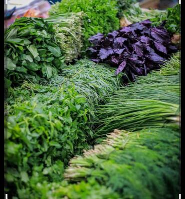 римские шторы баку: Goyertiler 0.10 qepiy optovoy satisidi