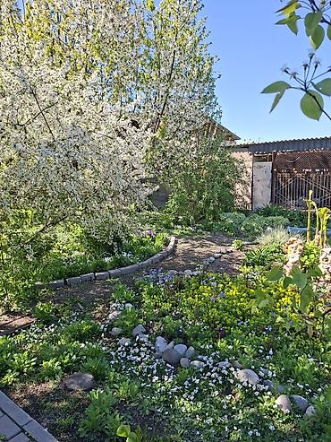 Продажа домов: 🏡 Дом, где начинается ваше новое счастье… Просторный и уютный дом — 8