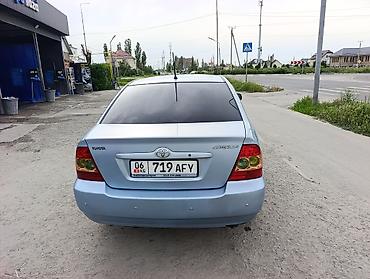 levin corolla: Toyota Corolla: 2004 г., 1.6 л, Автомат, Бензин, Седан — 3