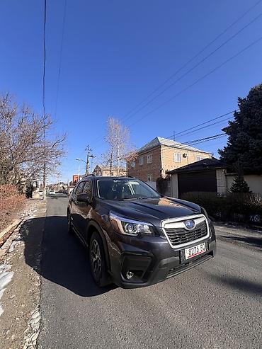 Subaru: Subaru Forester: 2019 г., 2.5 л, Механика, Бензин, Кроссовер — 3