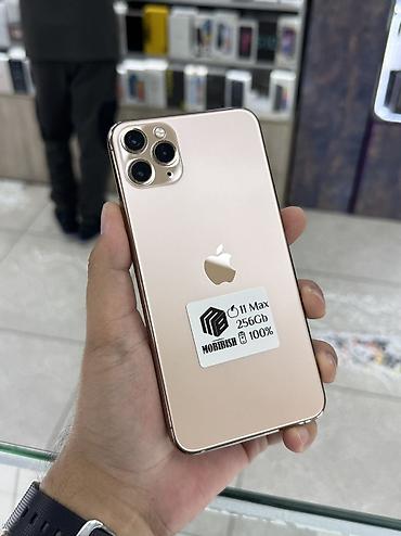 apple studio: IPhone 11 Pro Max, Б/у, 256 ГБ, Золотой, Защитное стекло, Чехол, В рассрочку, 100 % — 1