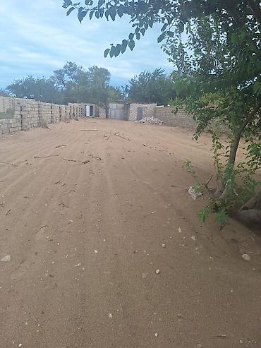 Torpaq sahələrinin satışı: 6 sot, Kupça (Çıxarış) — 11