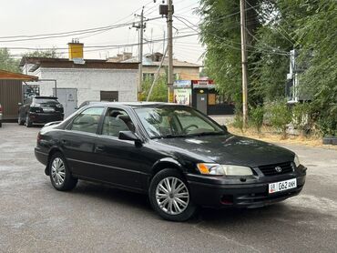 тайота камри55: Toyota Camry: 1999 г., 2.5 л, Автомат, Газ, Седан