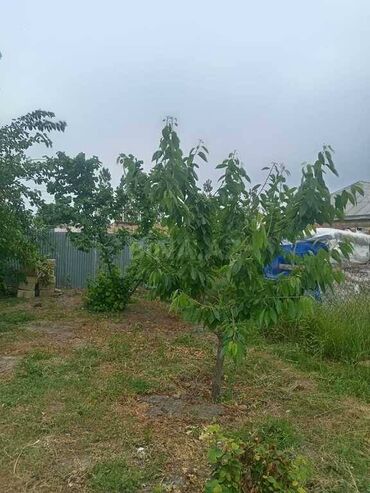 Həyət evləri və villaların satışı: 2 otaqlı, 60 kv. m, Kredit var, Yeni təmirli — 4