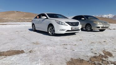 Hyundai: Hyundai Sonata: 2010 г., 2 л, Автомат, Бензин, Седан