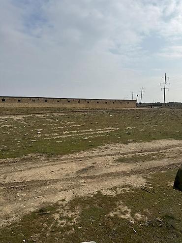 İcarəyə binalar: Torpaq sahəsi icarəyə verilir. Hövsan qəsəbəsində yerləşən ferma — 8