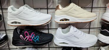 dunks patike: 41