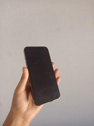 сколько стоит пк в бишкеке: IPhone 13 Pro, Б/у, 128 ГБ, Чехол — 3