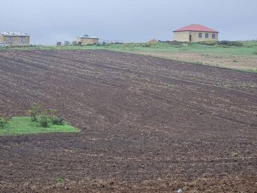 Torpaq sahələrinin satışı: 100 sot, Kənd təsərrüfatı, Mülkiyyətçi, Kupça (Çıxarış) — 15