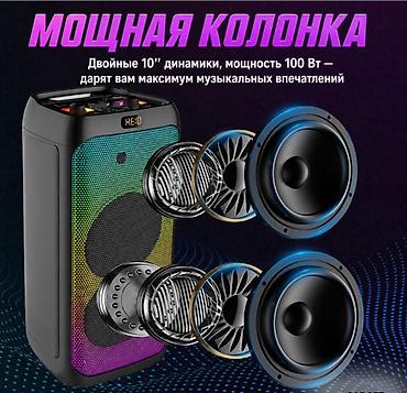 rant ace: Портативная Bluetooth караоке колонка Acike AK-101 с микрофоном Купить — 5