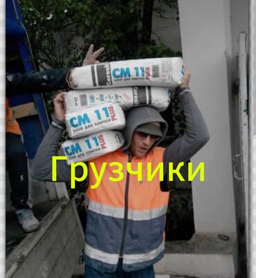 оборудование для молока: Грузчик. С опытом