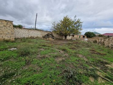 Həyət evləri və villaların satışı: Hasarlı daş hasarlı həyət evi və torpaq sahəsi - Dörd tərəfi hündür — 11