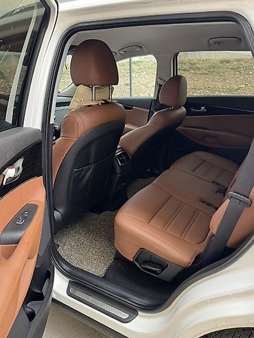 сажевый: Kia Sorento: 2019 г., 2 л, Автомат, Дизель, Кроссовер — 5