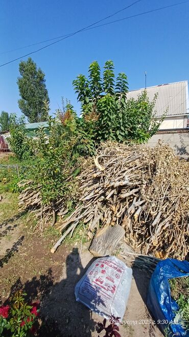 сухие дрова: Дрова Тополь, Самовывоз