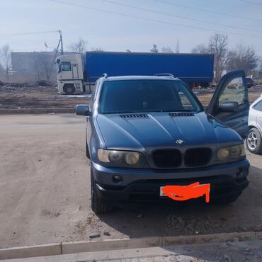 бмв 2002: BMW X5: 2002 г., 3 л, Автомат, Бензин, Внедорожник