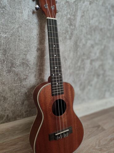 Akkordeonlar: Ukulele, Yeni, Pulsuz çatdırılma