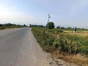 продажа дом ак ордо: 231 соток, Для сельского хозяйства, Красная книга
