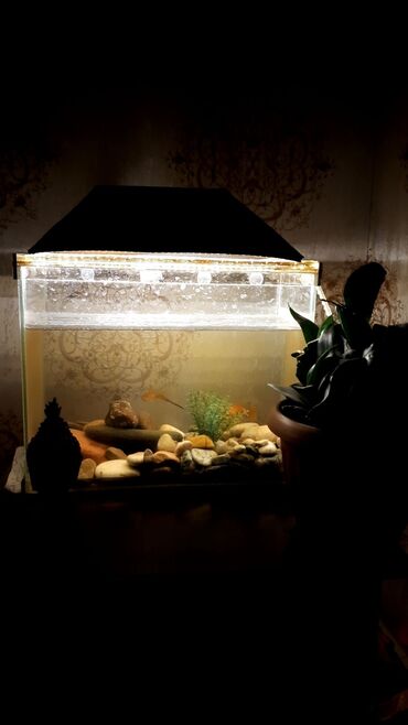 каменные мойки: 2 аквариума
с камнями