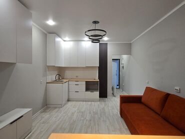 Продажа квартир: 1 комната, 27 м², Элитка, 4 этаж, Евроремонт