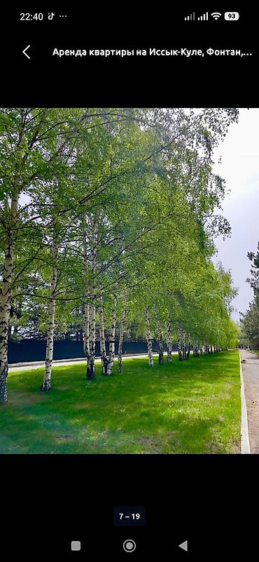 отдых в palm beach: Аренда квартиры на Иссык-Куле, Фонтан, Кара-Ой (Долинка), 4 места, Цена Целиком за жилье — 2