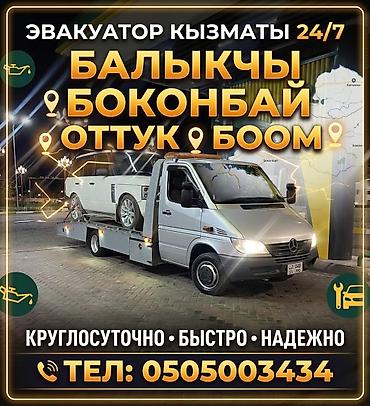 работа вышивка: С лебедкой — 1