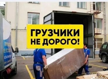 исык кол: Жүк ташуучу. 6 жылдан ашык тажрыйба