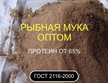 вет аптека: Российская рыбная мука -качество протеин по сертификату 59-65 %