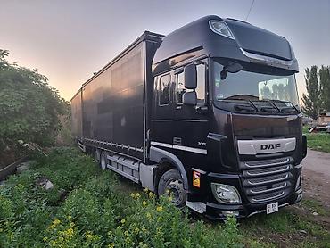 Тягачи: Тягач, DAF, Шторный — 6