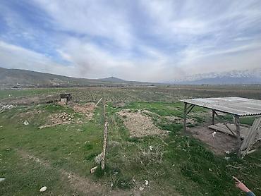 Продажа участков: 80 соток, Для сельского хозяйства — 16