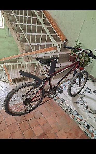 velosiped irsad: Heç bir problemi yoxdur çox surlumyub herşyi işlək vəziyyətdə — 1