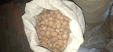 Жаңгак: Грецкий орех в скорлупе и ядро - Урожай с частного сада. Орех — 5