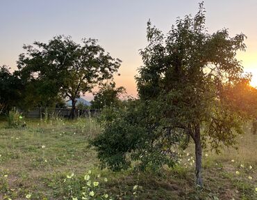 Torpaq sahələrinin satışı: 10 sot, Tikinti, Mülkiyyətçi, Kupça (Çıxarış) — 7