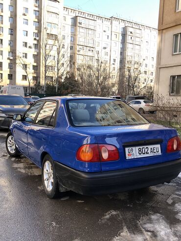 боковой тырмоо: Toyota Corolla: 1998 г., 1.3 л, Механика, Бензин, Седан