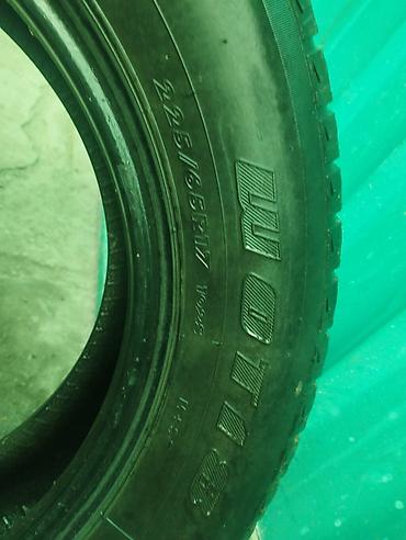 Шины: Шины — 10