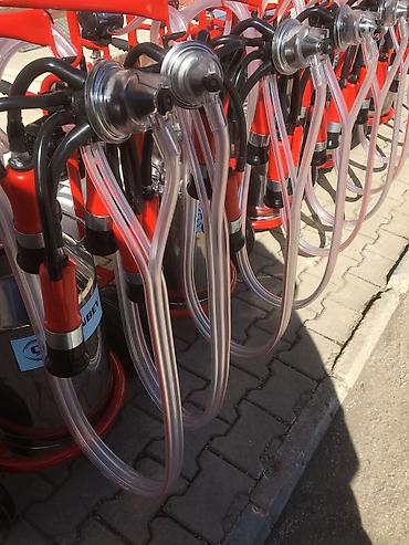 Товары и оборудование для с/х животных: Түркиянын уй саан аппараттары сатылат. Çırpanbey заводунун расмий — 2