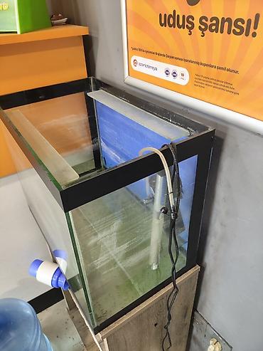 xiaomi akvarium: Akvaryum komplekti – şüşə balıq akvariumu və avadanlıq - Ölçü — 3
