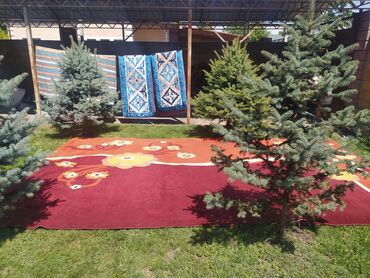 куплю бу ковер: Ковер Б/у, 500 * 300