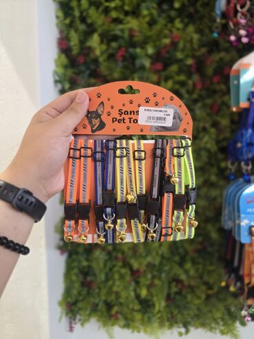 Xaltalar, qayışlar və tasmalar: Pişik və mini itlər üçün boyunbağılar. Taksilə çatdırılma xidmətimiz — 27