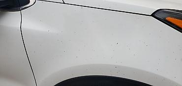 скупка ката: Kia Sportage: 2017 г., 2.4 л, Автомат, Бензин, Кроссовер — 6