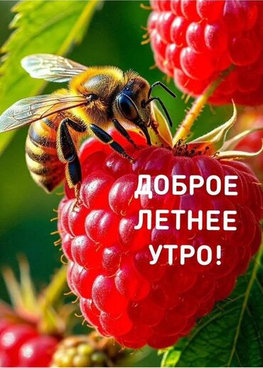 продаю домкрат: Цифровая поздравительная открытка "Доброе утро" с изображением пчелы