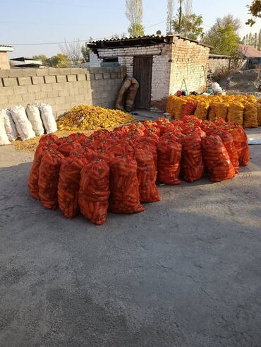 чернозем в мешках бишкек: Кукуруза Оптом, Самовывоз