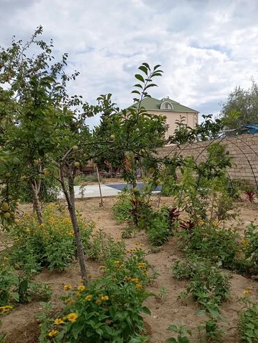 Günlük kirayə evlər: 160 kv. m, 3 otaqlı — 15