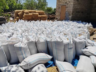 pişik yem: Salam. Hal hazırda 20 ton yeni biçim təmiz arpa var. Hazır kisələrə