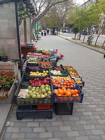 Çöl bitkiləri: Hazır biznes kimi satılır 500 manat aylıq icare haqqı 400 manat ünvan — 8