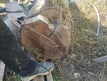 бумага а4 класс с: Бревно лиственных пород (толстомер) - Цельный ствол, без распила на — 5